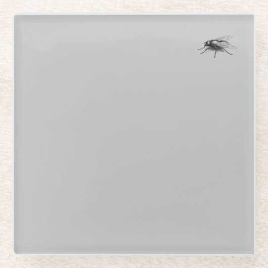 Fly Buddy Grauglas Untersetzer (Vorderseite)