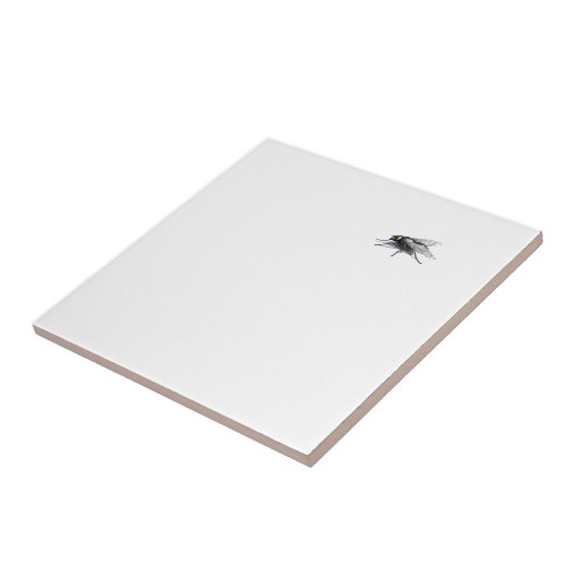 Fly Buddy kleine Kachel (Seite)