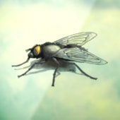 Fly Buddy shadow see-thru Fensterklemme vorne Fensteraufkleber (Blatt 3)