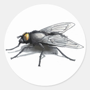 Fly Buddy weiße große runde Aufkleber