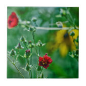 Fly-By im Garten Fliese (Vorderseite)