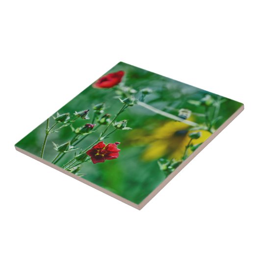 Fly-By im Garten Fliese (Seite)