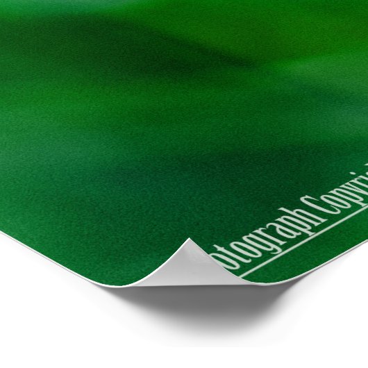 Fly-By im Garten Poster (Ecke)