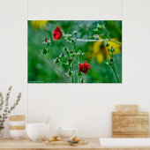 Fly-By im Garten Poster (Küche)