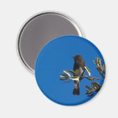 Fly Catcher Magnet (Vorderseite/Rückseite)