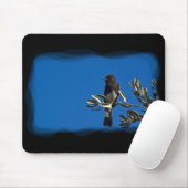Fly Catcher Mousepad (Mit Mouse)