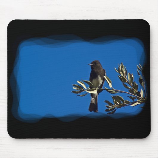 Fly Catcher Mousepad (Vorne)