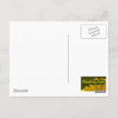 Fly Catcher Postkarte (Rückseite)