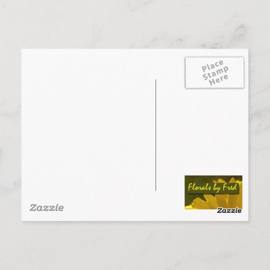 Fly Catcher Postkarte (Rückseite)