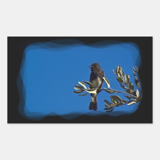 Fly Catcher Rechteckiger Aufkleber (Vorderseite)