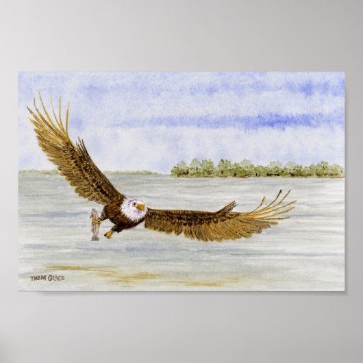 Fly Fishin'- Bald Eagle Poster (Vorne)