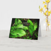 "Fly" Get Well Card Karte (Gelbe Blume)