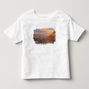 Fly Geyser in der Black Rock Desert Kleinkind T-shirt