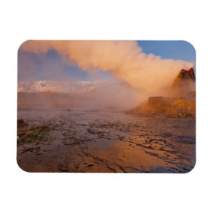 Fly Geyser in der Black Rock Desert Magnet