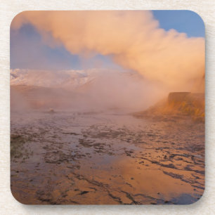 Fly Geyser in der Black Rock Desert Untersetzer