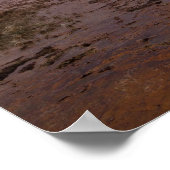 Fly Geyser in der Black Rock Wüste Poster (Ecke)