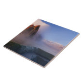 Fly Geyser mit schneebedeckter Granite Range Fliese (Seite)