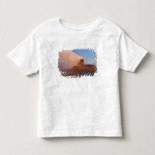 Fly Geyser mit schneebedeckter Granite Range Kleinkind T-shirt