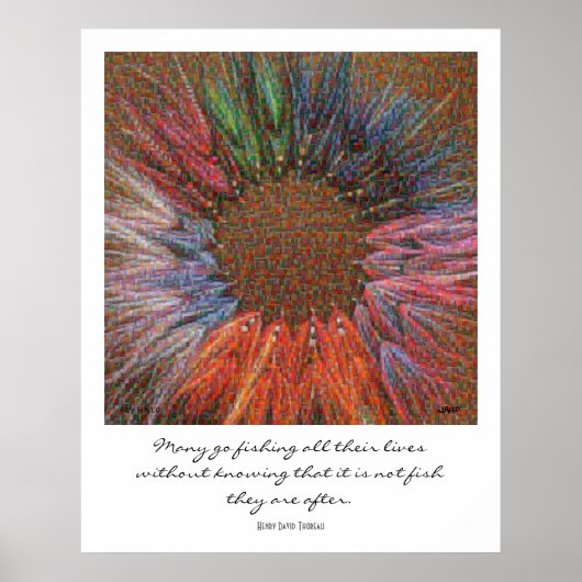 Fly Halo Montage Poster (Vorne)