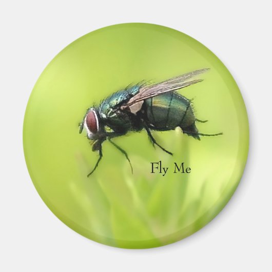 Fly Me Magnet (Vorne)