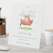 Fly Teddy Bear Animal Flugzeug Birthday Custom Par Sockelschild (In Situ)