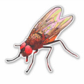 Fly toilet sticker bathroom equipment for pissoir (Vorderseite)