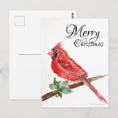 Fly Zuhause Weihnachts-Postkarte Postkarte (Vorne/Hinten)
