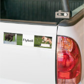 Flyball Autoaufkleber (Auf Lkw)