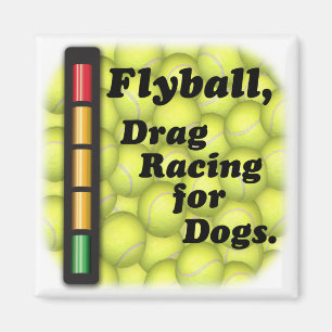 Flyball ist magnet