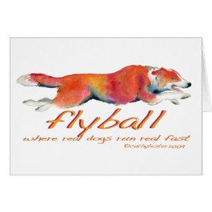 Flyball wirkliche Hunde
