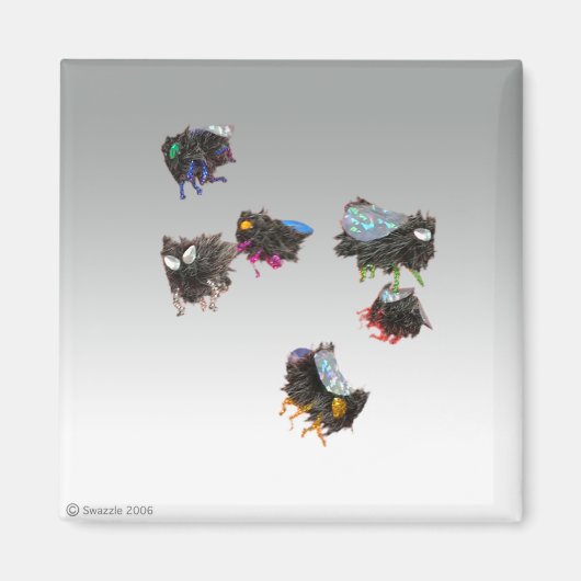 Flyboys Magnet (Vorne)