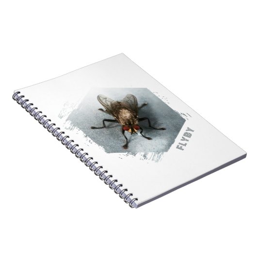 Flyby. Close-up photo of a fly Notizblock (Rechte Seite)