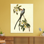 Flycatcher, Audubons Vögel von Amerika Leinwanddruck (Insitu (Wohnzimmer))