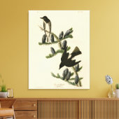 Flycatcher, Audubons Vögel von Amerika Leinwanddruck (Insitu (Wohnzimmer))