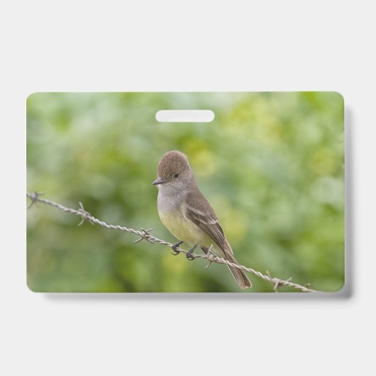 Flycatcher Ausweis (Vorderseite)
