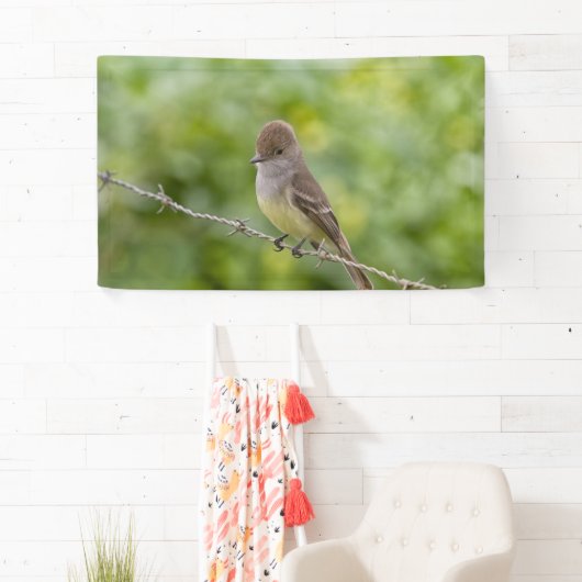 Flycatcher Banner (Insitu)