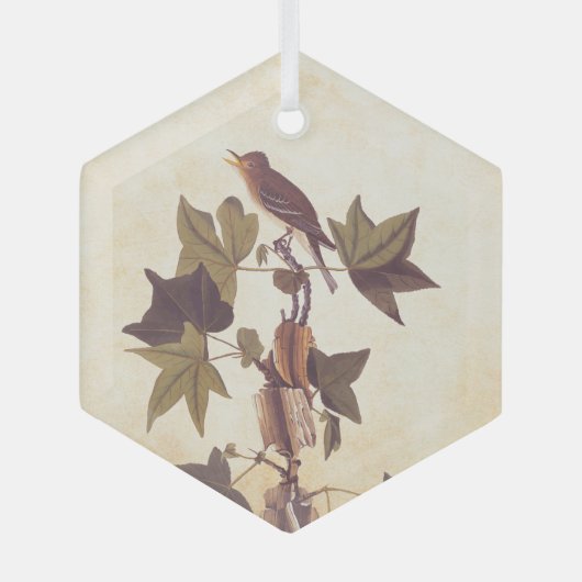 Flycatcher Bird von Audubon Trail Ornament Aus Glas (Vorderseite)