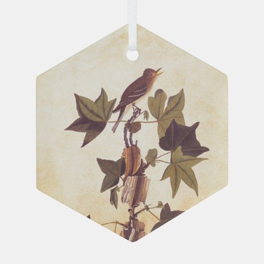 Flycatcher Bird von Audubon Trail Ornament Aus Glas (Rückseite)