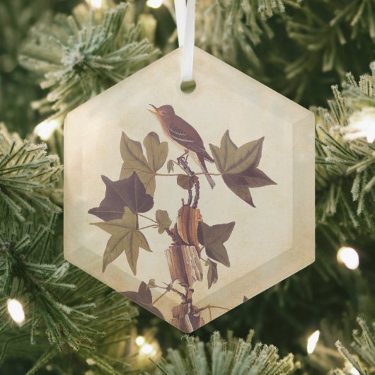 Flycatcher Bird von Audubon Trail Ornament Aus Glas (Insitu)