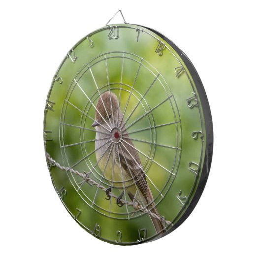 Flycatcher Dartscheibe (Vorderseite rechts)