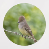 Flycatcher Etiketten (Design 1)