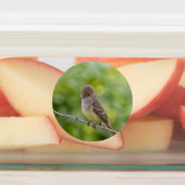 Flycatcher Etiketten (Befestigt)