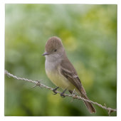 Flycatcher Fliese (Vorderseite)
