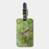 Flycatcher Gepäckanhänger (Vorderseite vertikal)