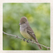 Flycatcher Glasuntersetzer (Vorderseite)