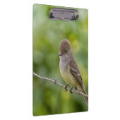 Flycatcher Klemmbrett (Rechts)