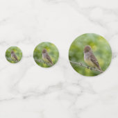 Flycatcher Konfetti (Vorderseiten)