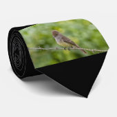 Flycatcher Krawatte (Gerollt)