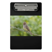 Flycatcher Mini Klemmbrett (Vorderseite)