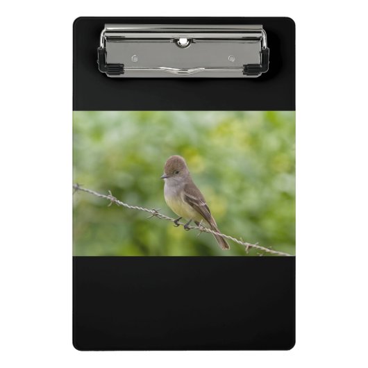 Flycatcher Mini Klemmbrett (Vorderseite)